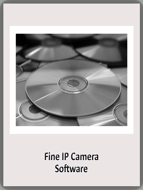 Fine IP Camera Software.png